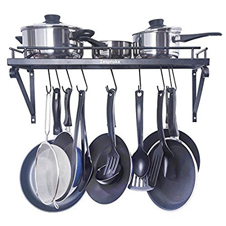 ZESPROKA Kitchen Wall Pot Pan Rack,With 10 Hooks,Black